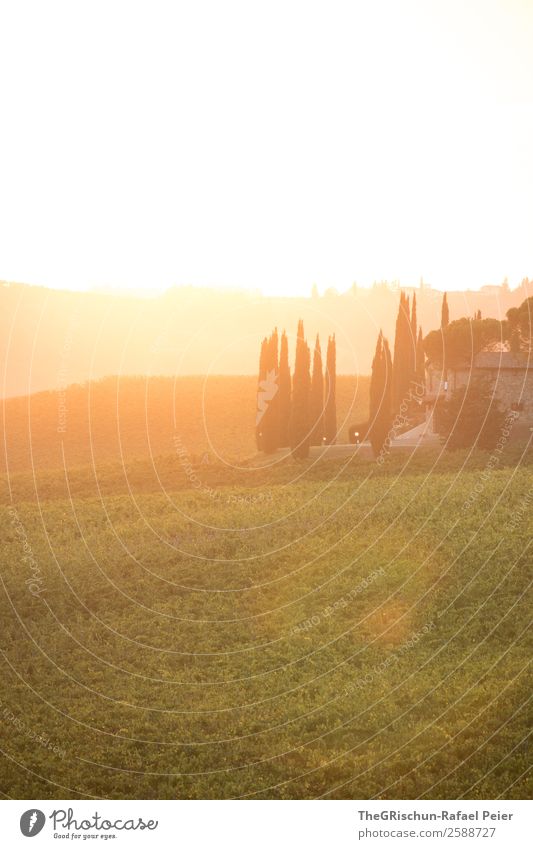 Sunset Natur Landschaft Aggression Toskana Sonnenuntergang Italien Stimmung Romantik mehrfarbig Reisefotografie Ferien & Urlaub & Reisen Farbfoto Außenaufnahme
