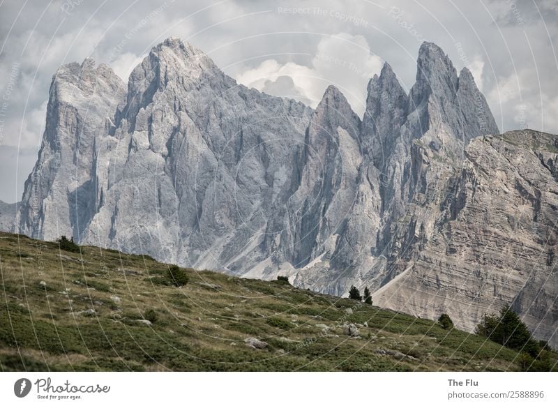 Dolomitentraum Natur Landschaft Wolken Sonnenlicht Sommer Alpen Berge u. Gebirge Geislergruppe Korallenriff Italien Südtirol Europa Sehenswürdigkeit Stein
