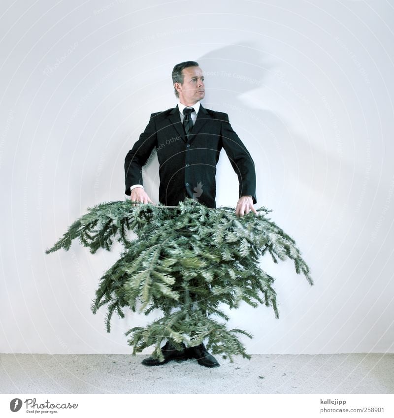 mann trägt jetzt baum! Mensch maskulin Mann Erwachsene 1 30-45 Jahre Umwelt Natur Pflanze Baum Mode Bekleidung Anzug Krawatte Schuhe Haare & Frisuren kurzhaarig