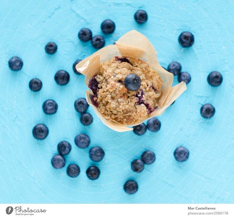 Muffins mit Heidelbeeren auf blauem Hintergrund. Frucht Brot Dessert Süßwaren Ernährung Essen Frühstück Kaffeetrinken Picknick Bioprodukte