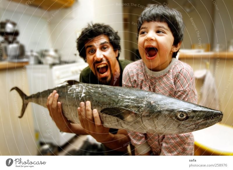 Der Fisch Lebensmittel Meeresfrüchte Mittagessen Abendessen Wohnung Küche Kind Mensch maskulin Mädchen Junger Mann Jugendliche Eltern Erwachsene Vater