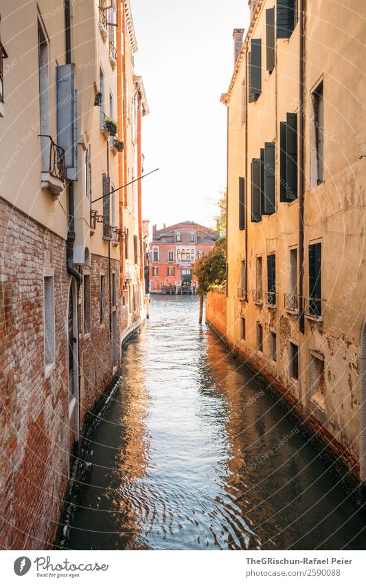 Venedig Kleinstadt Stadt Hafenstadt Sehenswürdigkeit braun gelb Kanal Gasse Wasser Meerwasser Ferien & Urlaub & Reisen Reisefotografie entdecken Italien
