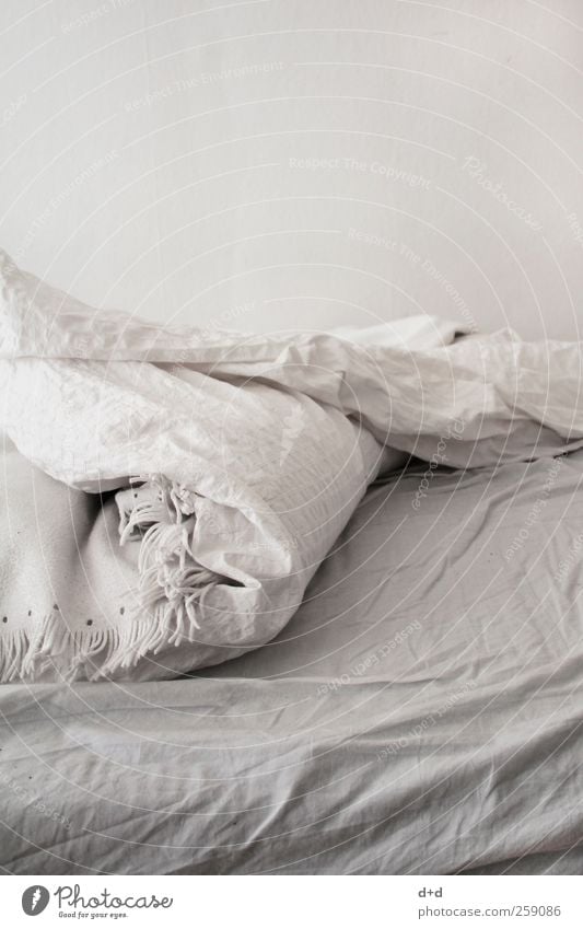 >/_ Wohlgefühl schlafen Bett Bettwäsche Bettlaken Bettdecke Bettgestell weiß Schlafmatratze aufstehen aufwachen minimalistisch kahl Schlafzimmer Wäsche