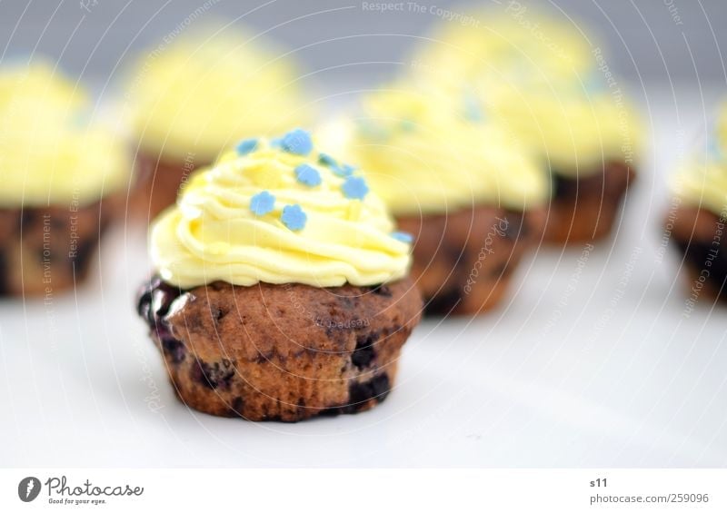 350 | Törtchen für alle! Lebensmittel Dessert Sahne Cupcake Ernährung Kaffeetrinken Festessen Fingerfood Duft Feste & Feiern fantastisch schön süß blau gelb