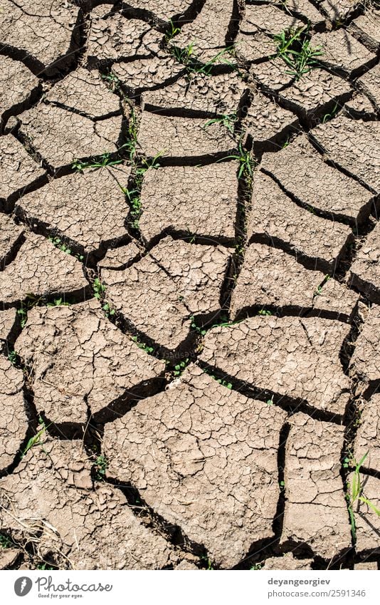Hintergrund des gerissenen Bodens Umwelt Natur Erde Klima Dürre dreckig heiß natürlich braun Riss trocknen Konsistenz wüst Schlamm Land trocken Ton weltweit