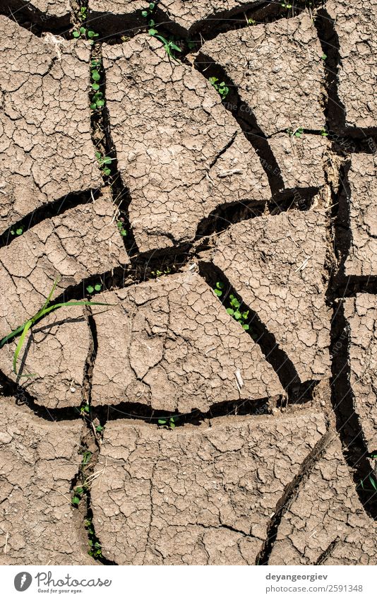Hintergrund des gerissenen Bodens Umwelt Natur Erde Klima Dürre dreckig heiß natürlich braun Riss trocknen Konsistenz wüst Schlamm Land trocken Ton weltweit