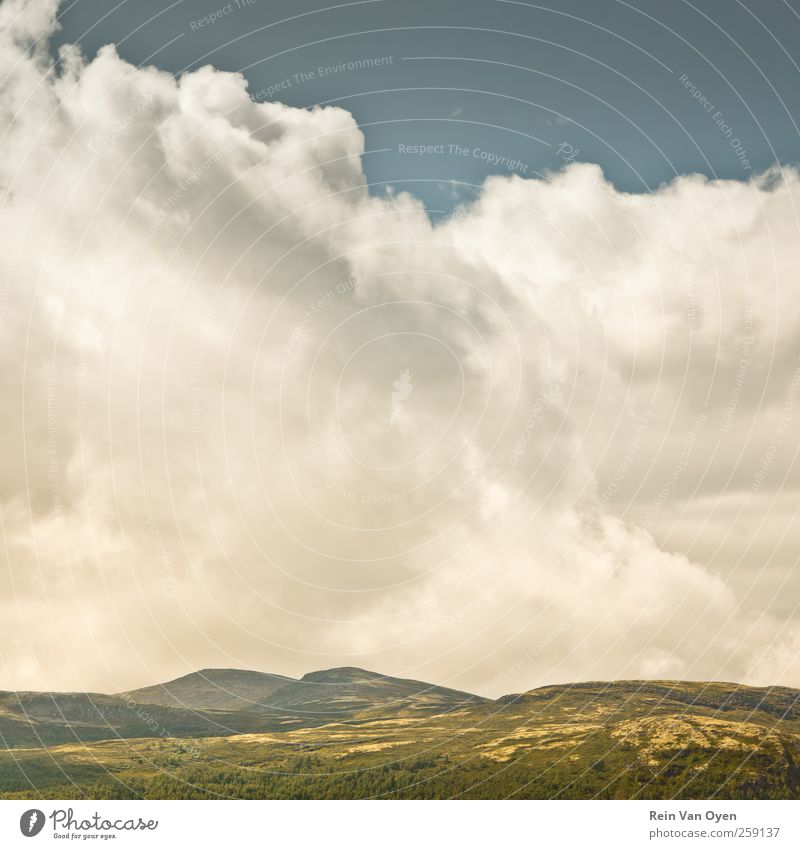 Norwegen Himmel Wolken Horizont Wetter Schönes Wetter Baum Hügel Berge u. Gebirge genießen frei Freiheit Glück Inspiration Abenteuer Farbfoto Außenaufnahme