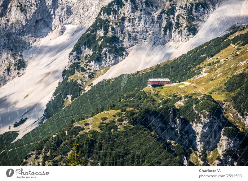 Emotion | Sich ganz klein fühlen Abenteuer Sommer Berge u. Gebirge wandern Natur Schönes Wetter Felsen Kaisergebirge Wiese Geröllfeld Felswand Stein gigantisch