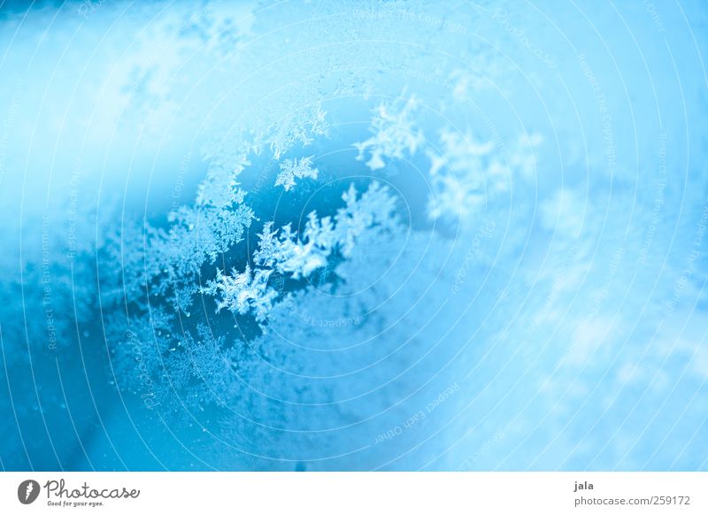 frozen effect Wasser Winter Eis Frost Glas ästhetisch blau Farbfoto Außenaufnahme Menschenleer Tag