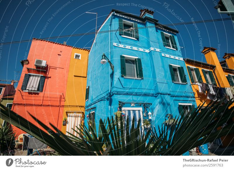 Burano Dorf Kleinstadt blau gelb Italien Haus Pflanze Fenster Reisefotografie Farbfoto mehrfarbig Außenaufnahme Menschenleer Tag Weitwinkel