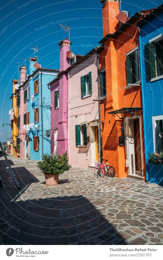 Burano Dorf Kleinstadt blau gelb violett orange rosa Schatten Licht Fahrrad Pflanze Haus Italien mehrfarbig Reisefotografie entdecken Pflastersteine Farbfoto