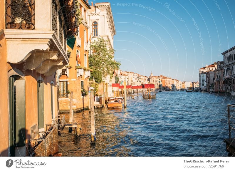 Venedig Kleinstadt Stadt Hafenstadt blau gelb gold Stimmung Wasser Kanal Holzpfahl Haus Italien Farbfoto Außenaufnahme Menschenleer Textfreiraum oben
