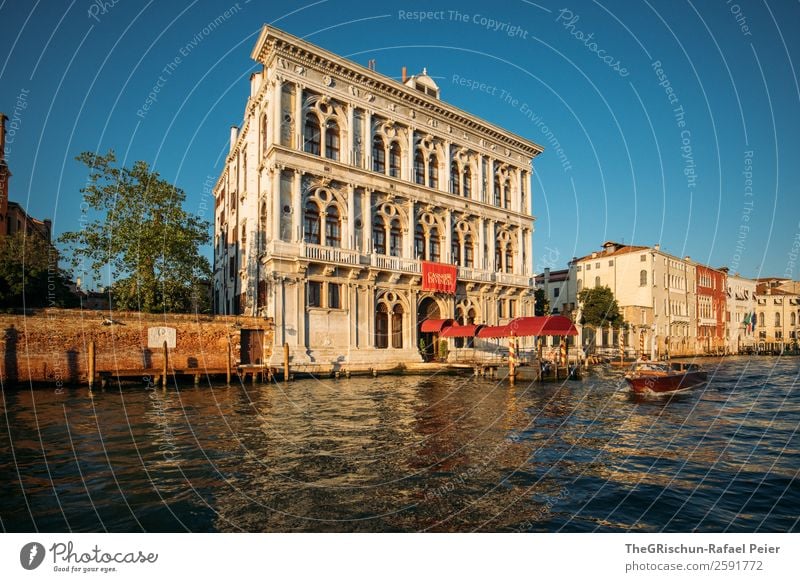 Venedig Kleinstadt Stadt Hafenstadt blau gelb gold rot Wasser Italien Haus Wasserfahrzeug Schifffahrt Baum Kanal Farbfoto Außenaufnahme Menschenleer