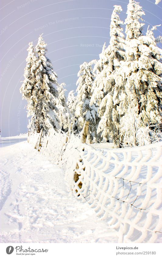 Othal`s finest 1 Ferien & Urlaub & Reisen Tourismus Winter Schnee Winterurlaub Berge u. Gebirge wandern Wintersport Skipiste Natur Landschaft Pflanze Himmel