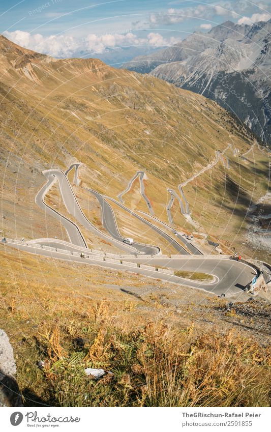 Stelvio Natur braun gelb gold Pass Straße Kurve Stilfserjoch Alpen fahren Ferne anspruchsvoll Italien Berge u. Gebirge Farbfoto Menschenleer Textfreiraum oben