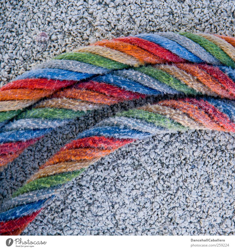 Nahaufnahme eines Seils in Regenbogenfarben mehrfarbig Lifestyle Homosexualität Design Sonnenenergie Kunst Lebensstil gleichgeschlechtliche liebe Sexualität