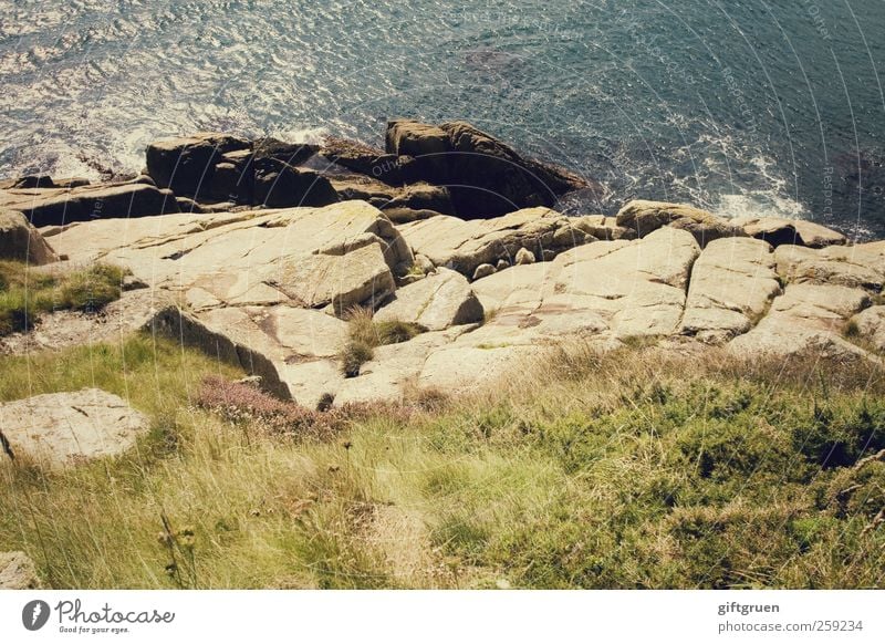 abgrund Umwelt Natur Landschaft Urelemente Erde Wasser Sommer Schönes Wetter Pflanze Gras Grünpflanze Wiese Felsen Wellen Küste Meer Insel hoch Stein steinig