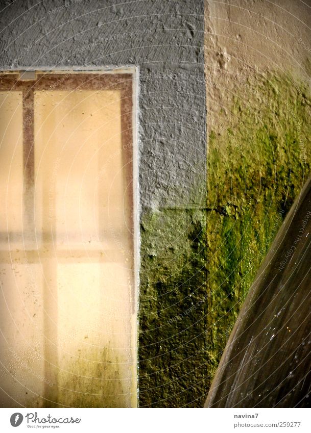 Krabats Mühlrad Museum Mauer Wand Fenster drehen gruselig grün Mühle Gedeckte Farben Außenaufnahme Menschenleer Abend Schatten Bewegungsunschärfe Totale