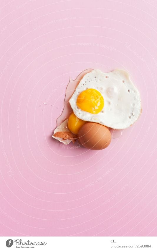 eieiei Lebensmittel Ei Ernährung Frühstück Ostern ästhetisch außergewöhnlich lustig gelb rosa verschwenden Design einzigartig Misserfolg Missgeschick Farbfoto