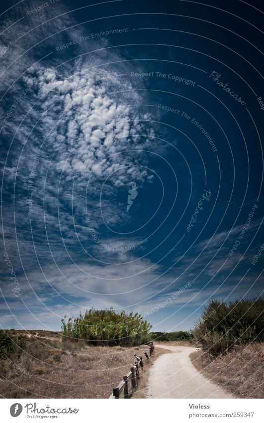 Der Weg ist das Ziel Landschaft Erde Sand Himmel Wolken Sommer Schönes Wetter Küste Wärme blau Freude Portugal Algarve Sandweg Wege & Pfade Farbfoto