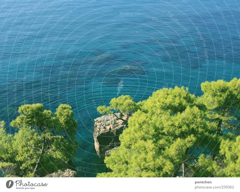 Blick von oben aufs Meer, Felsen und pinienbäume. Urlaub. Landschaft Griechenland blau grün urlaub sommer pflanzen blick von oben schön Pinienbäume natur