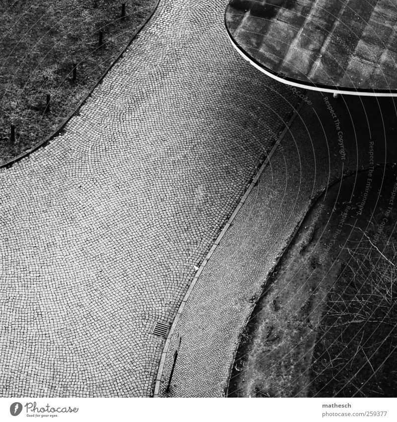 licht und schattenseiten Menschenleer Platz Architektur Dach Straße kalt schwarz weiß Bordsteinkante Verkehrsschild Baum Sportrasen Gully Kopfsteinpflaster