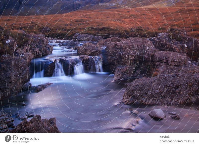 The Fairy Pools in Schottland Landschaft Wasser Herbst Gras Wiese Bach Fluss Wasserfall entdecken Erholung wandern schön grau orange rot Felsen steinig Grasland