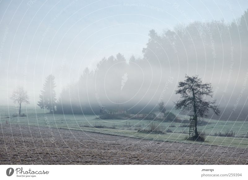Benebelt Landwirtschaft Forstwirtschaft Umwelt Natur Landschaft Klimawandel Nebel Baum Feld Hochsitz kalt Gefühle Stimmung Umweltschutz Idylle Farbfoto