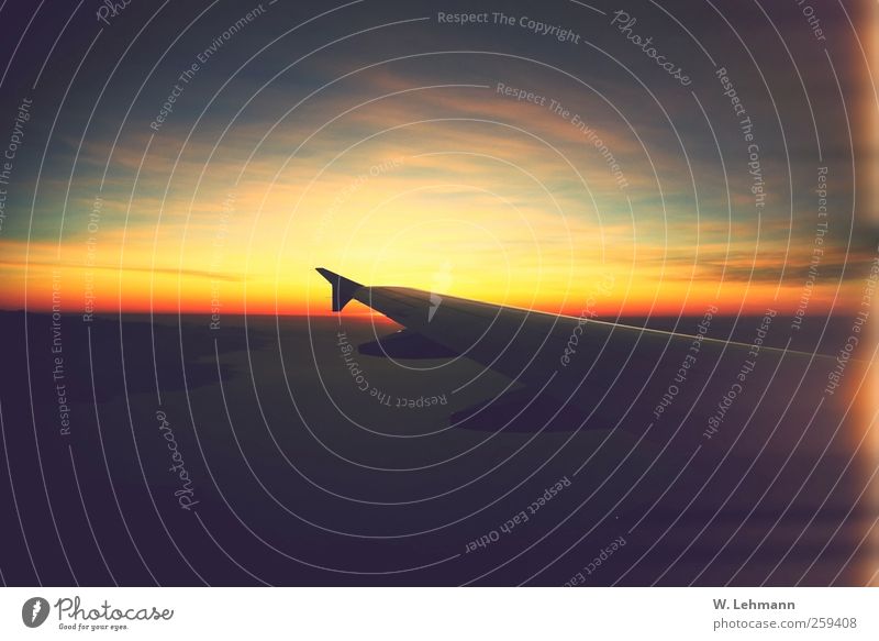 Ohne Titel Luftverkehr Ferien & Urlaub & Reisen Pilot Altimeter Flugzeug Perspektive Farbfoto Außenaufnahme Experiment Menschenleer Dämmerung Totale