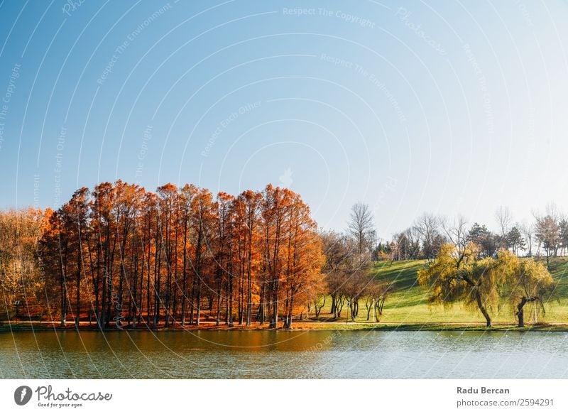 Herbstbäume Landschaft des Tineretului Parks in Bukarest, Rumänien In der Herbstsaison gelb Fluss Wasser Reflexion & Spiegelung Natur See alpin grün Himmel
