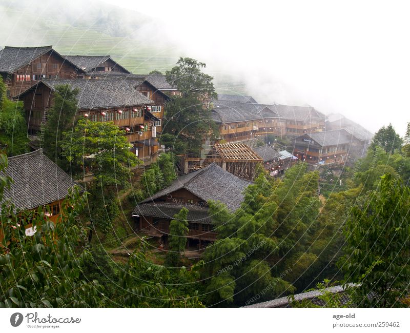 Ping`An Zhuang Abenteuer Ferne Landschaft Sommer china Asien Dorf Haus Ferien & Urlaub & Reisen braun grau grün weiß Geborgenheit entdecken exotisch
