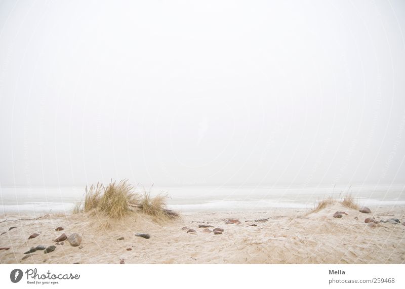 Wohin du willst Umwelt Natur Landschaft Sand Himmel Nebel Gras Küste Strand Nordsee Meer Stranddüne Strandanlage Unendlichkeit hell natürlich trist grau