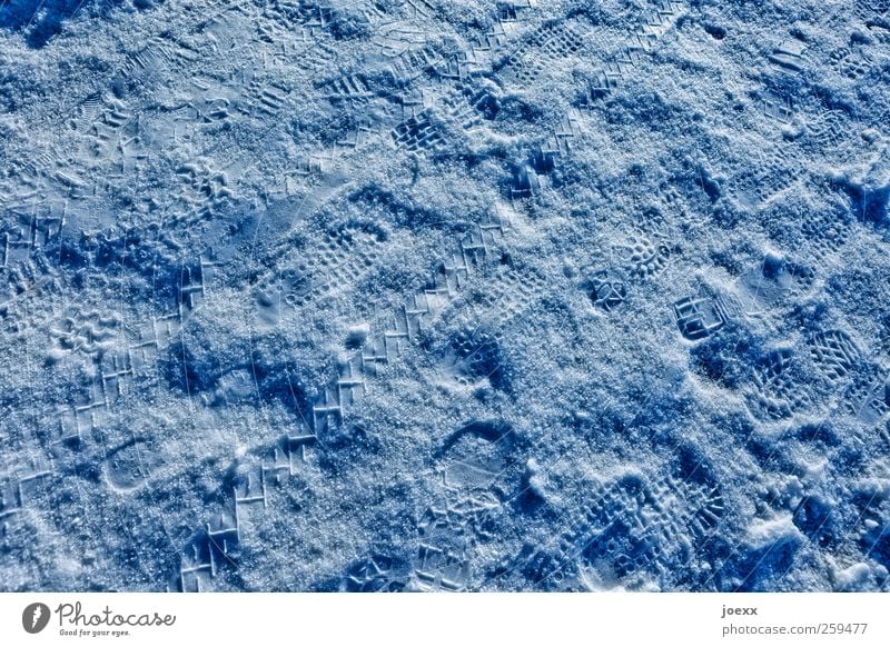 Voll-Mond Winter Schnee hell kalt blau Schneespur Spuren Abdruck Reifenprofil Boden Farbfoto Gedeckte Farben Außenaufnahme Strukturen & Formen Menschenleer Tag