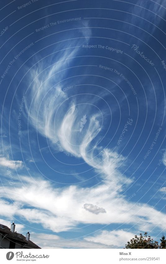 Flaschengeist Himmel Wolken Wetter Schönes Wetter Wind außergewöhnlich blau Verwirbelung Farbfoto Außenaufnahme Menschenleer Textfreiraum oben
