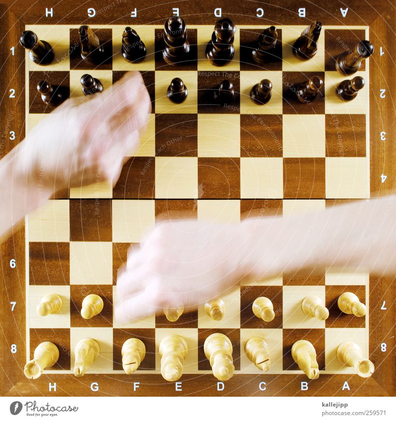 bauer sucht dame Lifestyle Stil Freizeit & Hobby Spielen Schach Schachbrett Muster planen Gegner konkurenz Brettspiel Schachfigur Beratung Plan intellektuell
