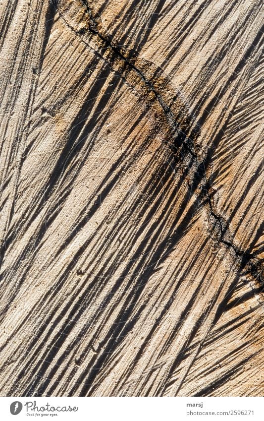 Ganz schön schief Maserung Riss Holz authentisch eckig einzigartig kaputt natürlich braun Kraft zerfurcht Sägeschnitt Schnittspuren Jahresringe Totholz Farbfoto