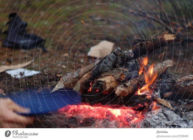 feuer machen für profis Abenteuer Ferne Safari Expedition Camping Natur Brand Feuerstelle Arbeit & Erwerbstätigkeit einfach heiß Warmherzigkeit Holz Brennholz