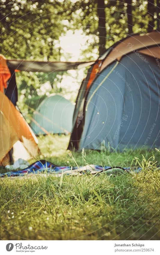 Camping im Wald Umwelt Natur Landschaft Schönes Wetter Gras Wiese Gefühle Stimmung Freude Zufriedenheit Lebensfreude Zusammensein Zelt Zeltlager Zelteingang