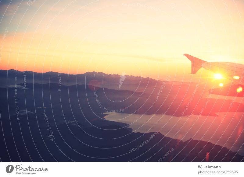 Goodbye Corsica! Luftverkehr Berge u. Gebirge Verkehrsmittel Flugzeug Passagierflugzeug gelb gold grau Farbfoto Außenaufnahme Experiment Menschenleer Dämmerung