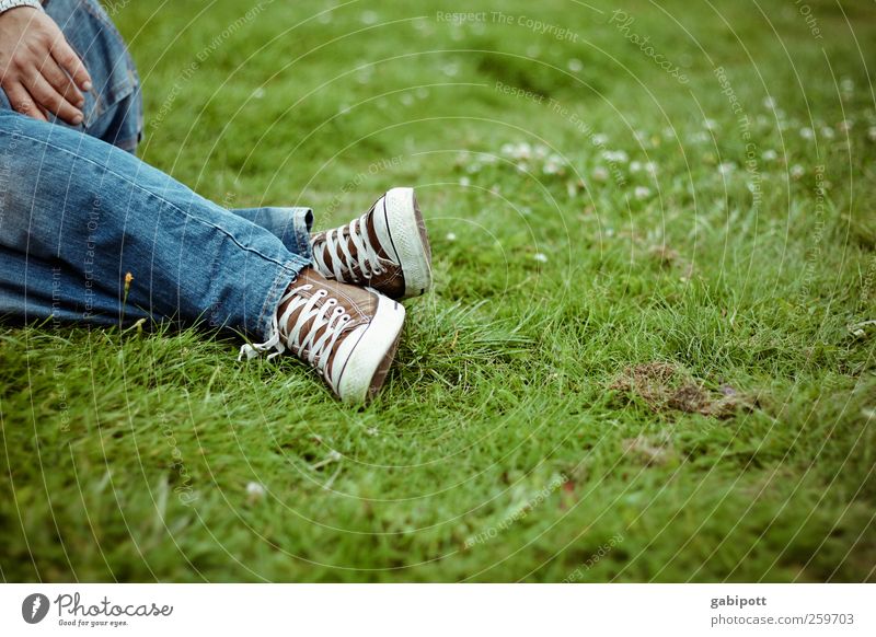 mal wieder auf der wiese liegen wäre schön! maskulin Beine Fuß Landschaft Sommer Schönes Wetter Park Wiese trendy positiv blau grün Lebensfreude