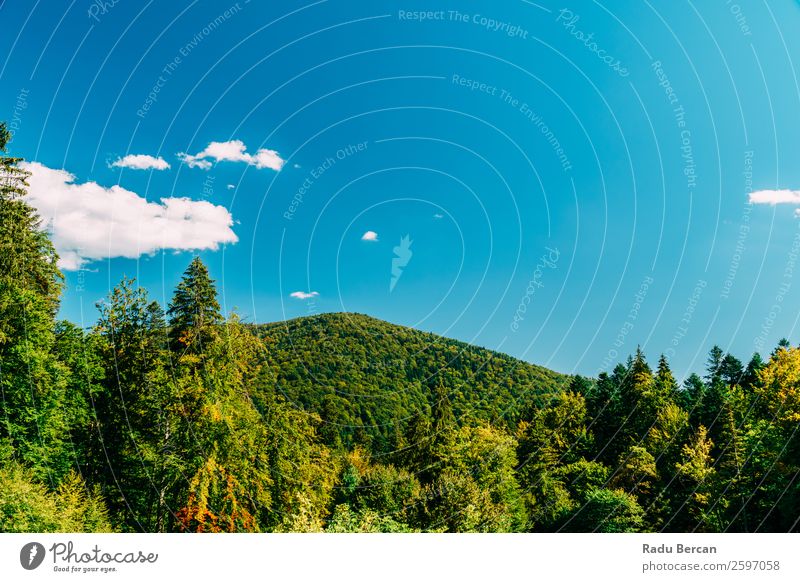 Schöne Karpatenlandschaft Sommerlandschaft in Rumänien Berge u. Gebirge Landschaft schön Natur Wald Panorama (Bildformat) Himmel grün Aussicht