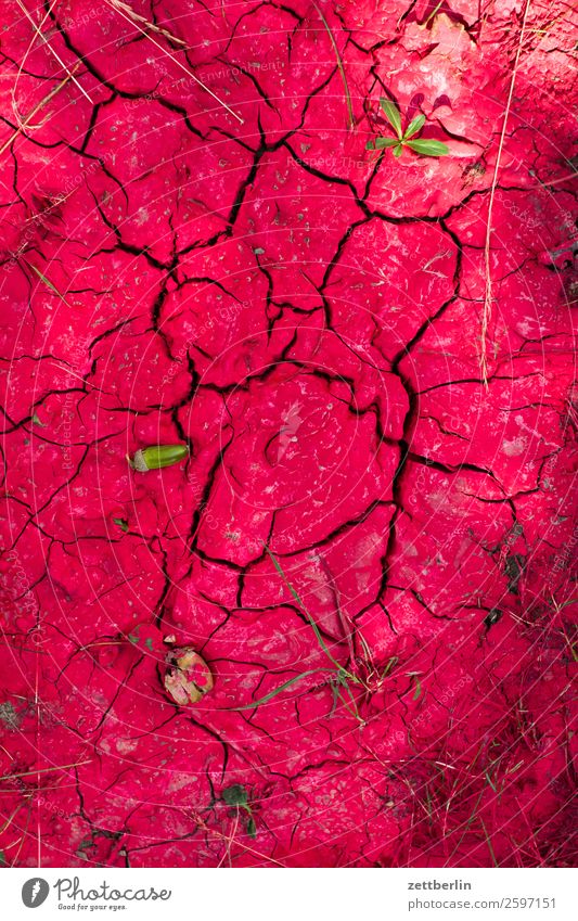 Verschüttete Farbe Farbstoff rot Kruste Oberfläche Riss verschütten getrocknet vertrocknet verschwenden Müll Umweltschutz Umweltverschmutzung