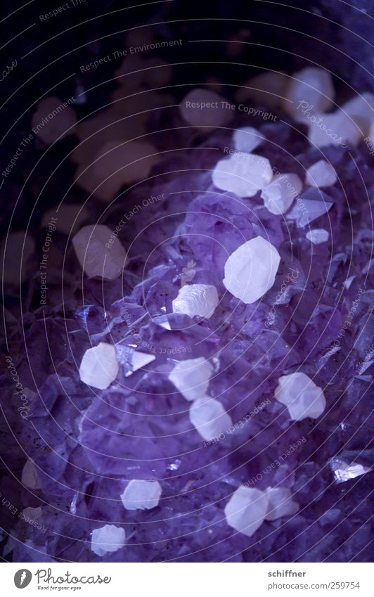 Baumloben | weiße Böbbels auf lila Felsen dunkel eckig glänzend violett Mineralien Bergkristall Edelstein Natur Kristalle Kristallstrukturen Stein steinig