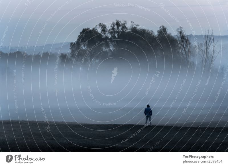 Der Mensch steht allein in der nebligen Natur. Mann Erwachsene 1 30-45 Jahre Landschaft Herbst Nebel Wiese Feld Wald stehen trist Einsamkeit Angst kalter Tag