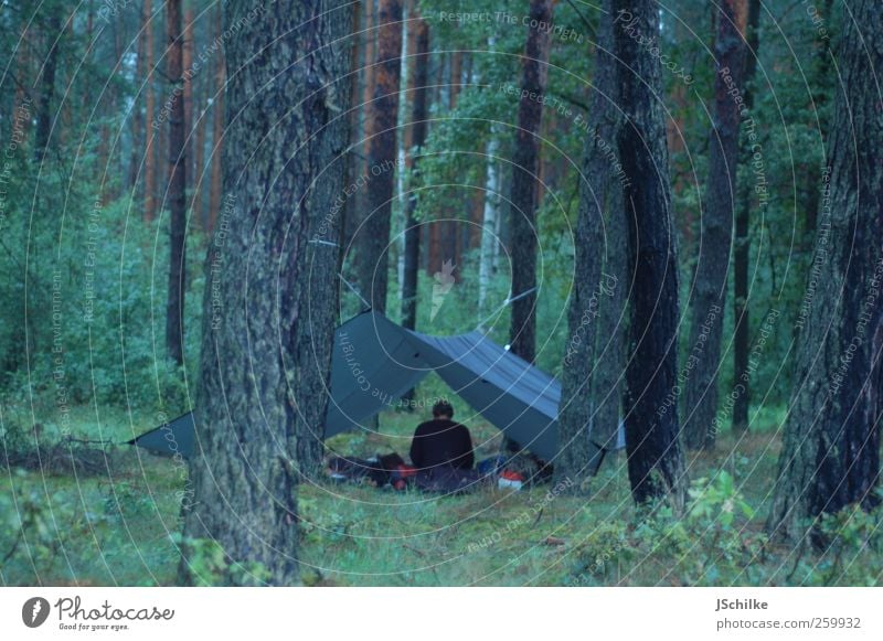 sleeping in the woods Lifestyle Reichtum Freizeit & Hobby Ferien & Urlaub & Reisen Ausflug Abenteuer Ferne Freiheit Safari Expedition Camping Häusliches Leben 1