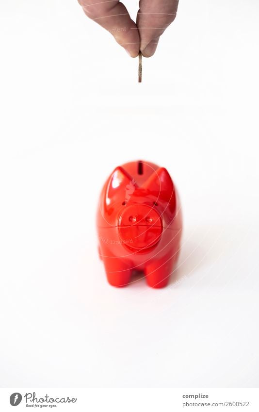 Das rote Sparschwein kaufen Reichtum Glück Geld sparen Kind Büro Kapitalwirtschaft Börse Geldinstitut Erfolg Solidarität planen Schwein Spardose Briefkasten