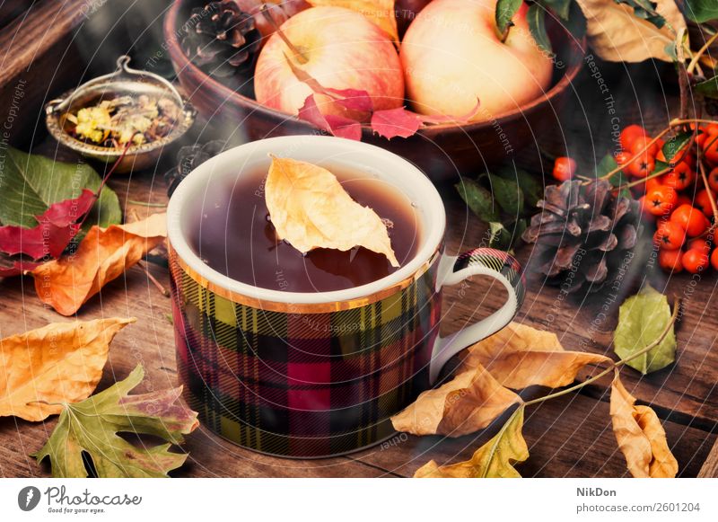 Herbstliches Stilleben mit Teetassen trinken fallen Tasse heiß rustikal warm Saison hölzern Stillleben Frucht Tisch altehrwürdig Getränk Becher Lebensmittel