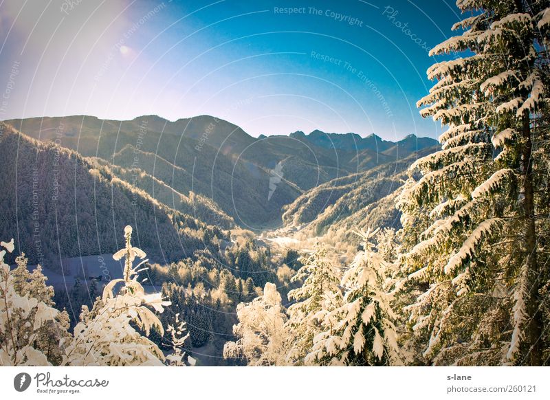 Winter Freizeit & Hobby Schnee Winterurlaub Berge u. Gebirge Natur Klima Wetter Schönes Wetter Hügel Alpen Gipfel gehen genießen kalt blau Gefühle Fröhlichkeit