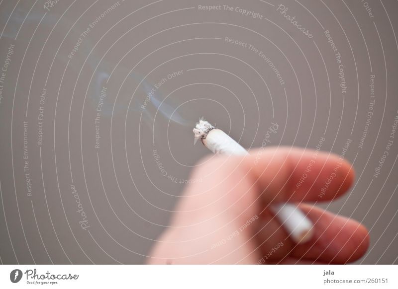 kippe Rauchen Hand Finger Zigarette Farbfoto Außenaufnahme Textfreiraum oben Hintergrund neutral Tag