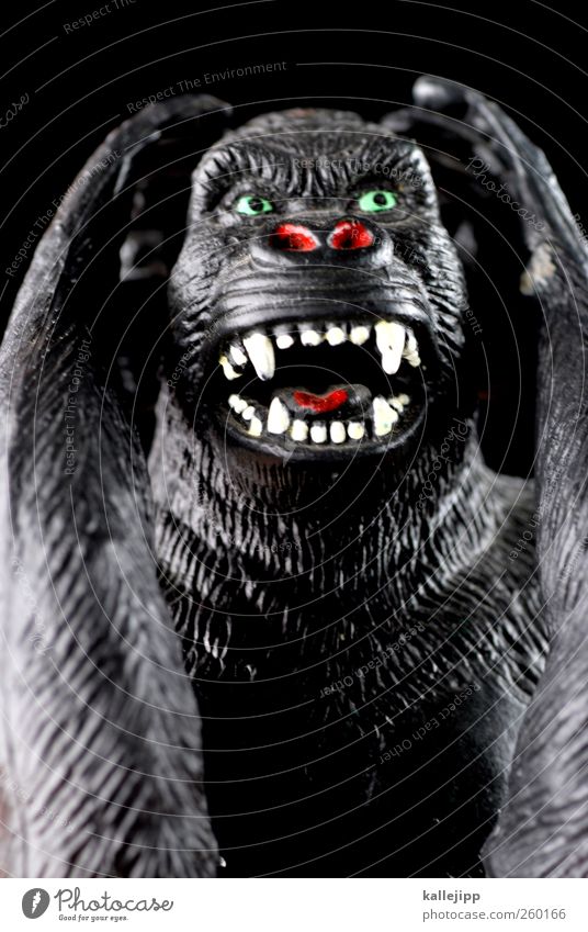nichts hören Tier Wildtier 1 Zeichen Kommunizieren Gehörsinn Sprichwort Sinnesorgane Affen Gorilla Statue Spielzeug plastikspielzeug Plastikfigur Fell Zähne